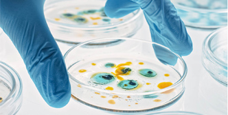 Anwendung von Bioreaktor Fermenter in Mikrobielle Fermentation